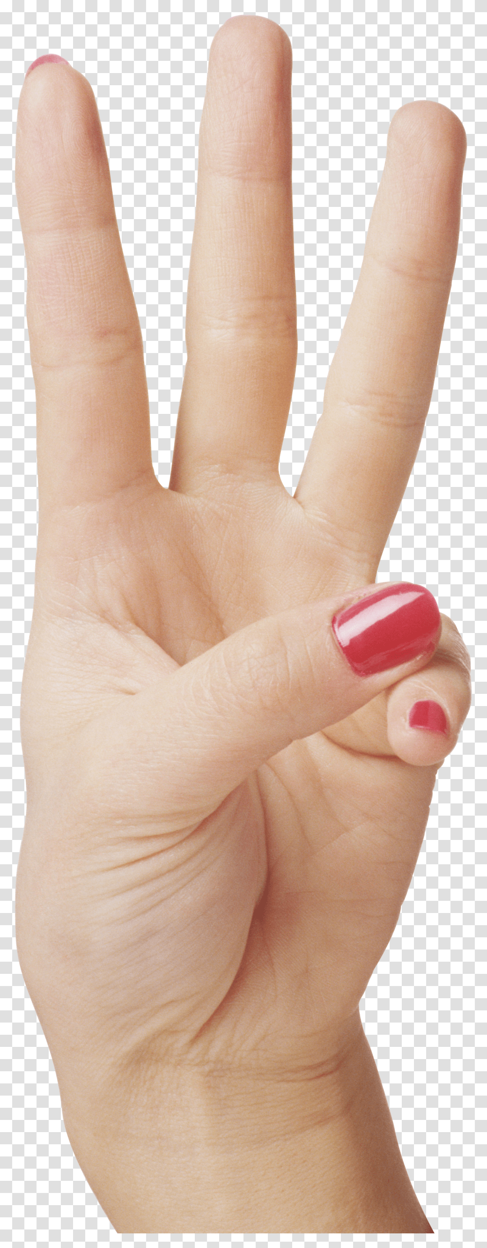 Hands, Person Transparent Png