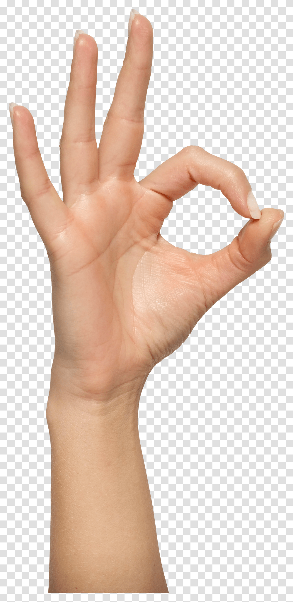 Hands, Person Transparent Png