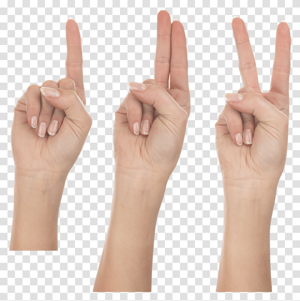 Hands, Person Transparent Png