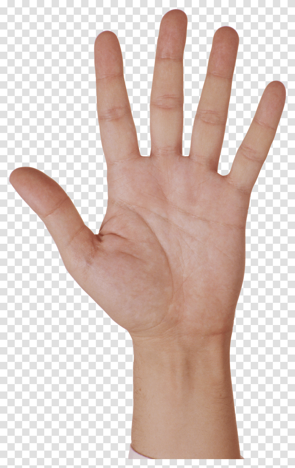 Hands, Person Transparent Png