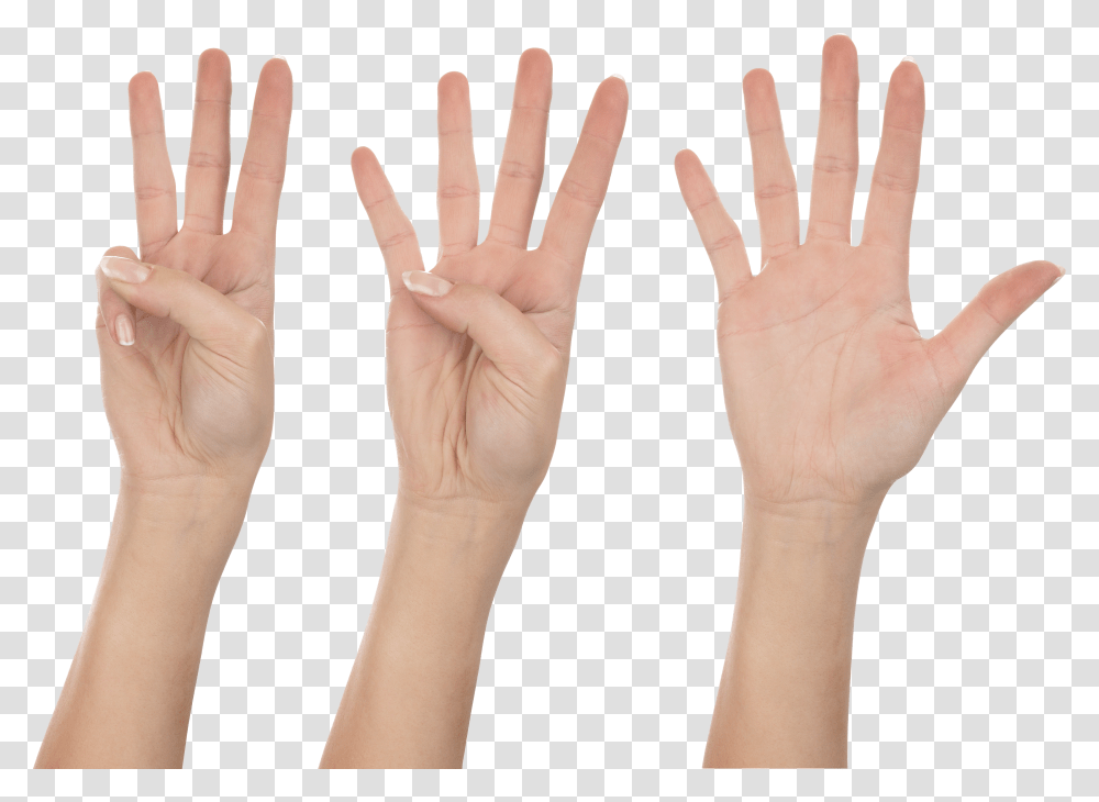 Hands, Person Transparent Png