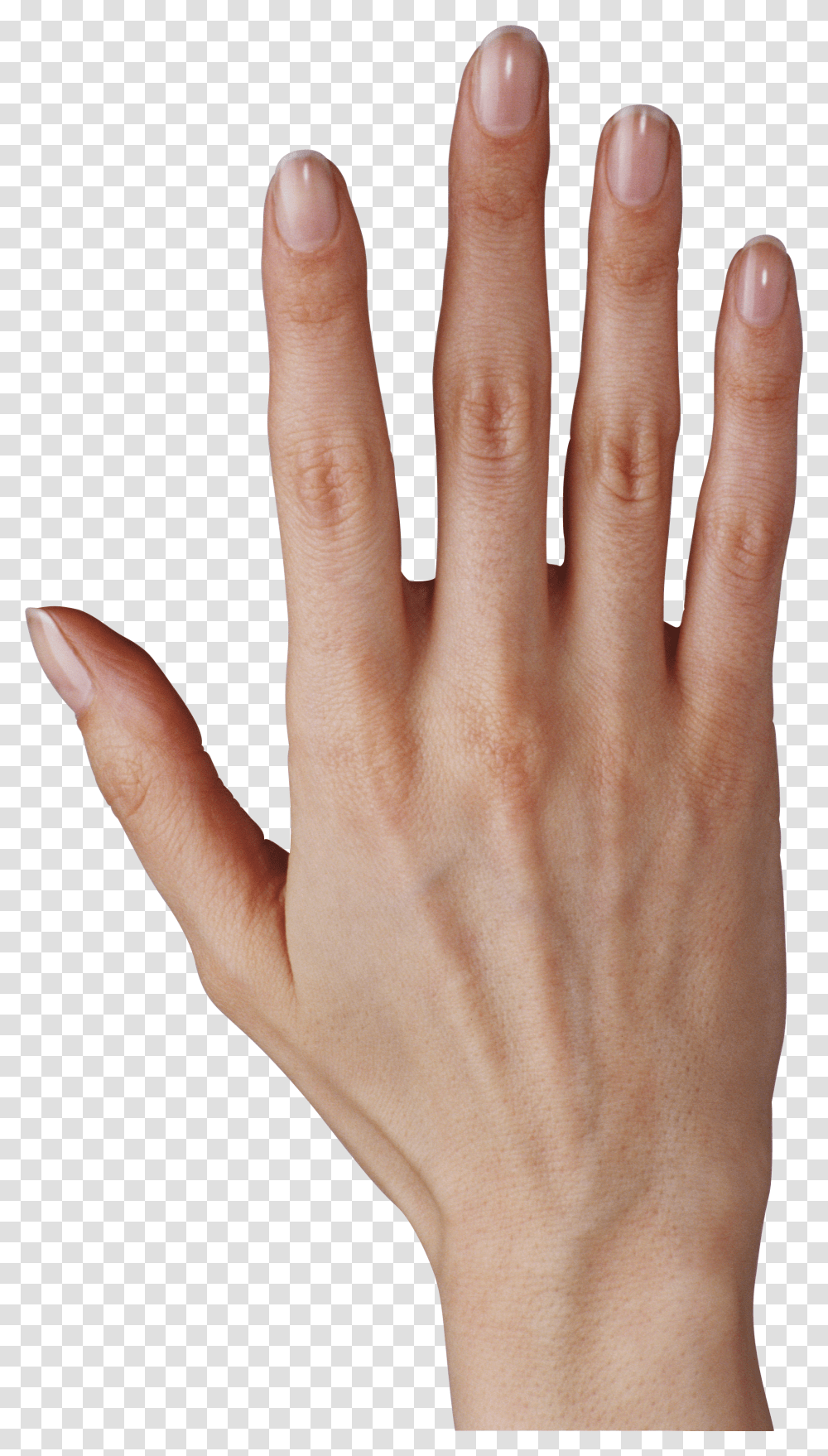 Hands, Person Transparent Png