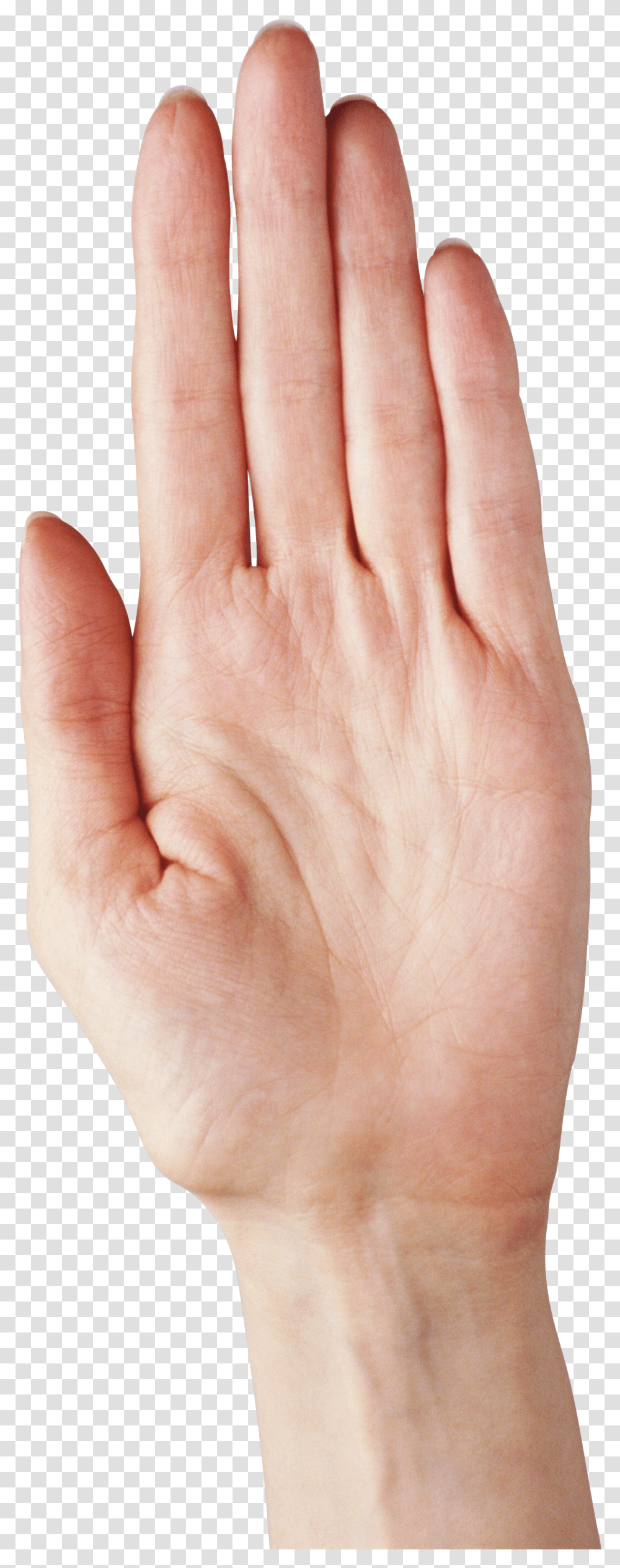 Hands, Person Transparent Png