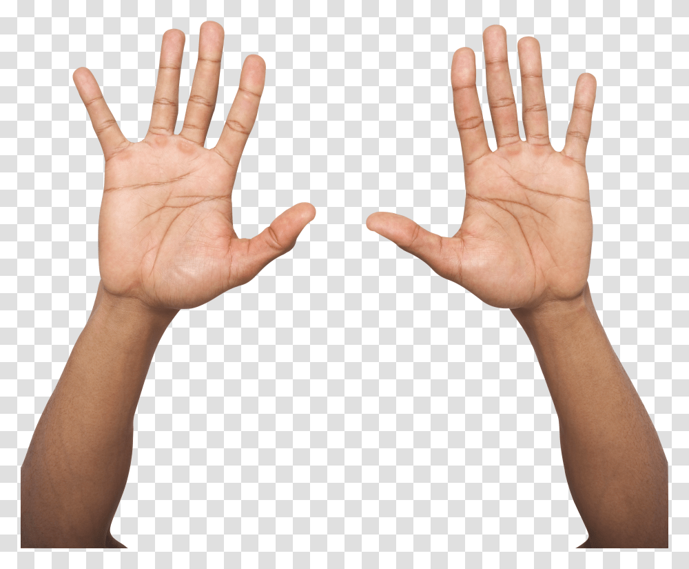 Hands, Person Transparent Png