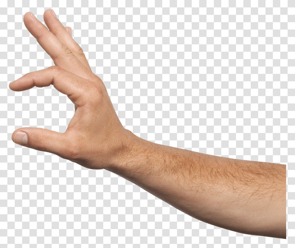 Hands, Person Transparent Png