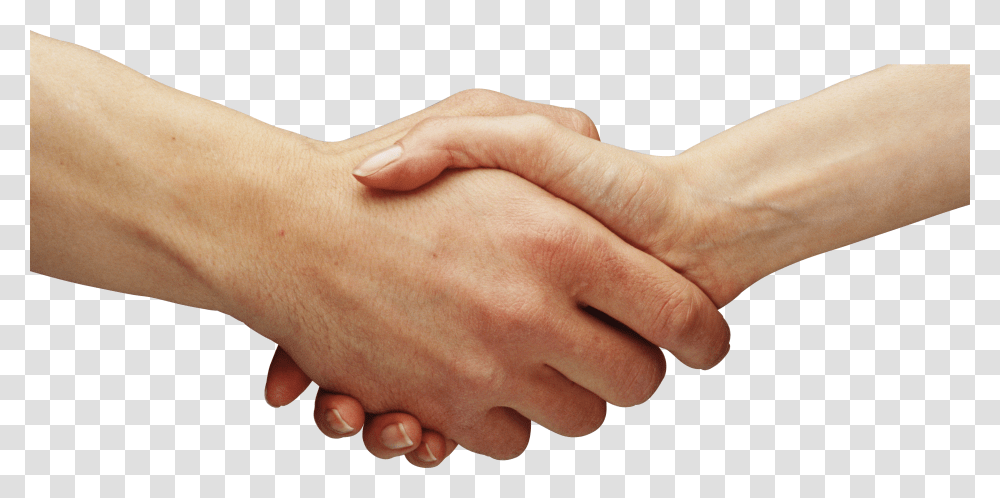 Hands, Person Transparent Png