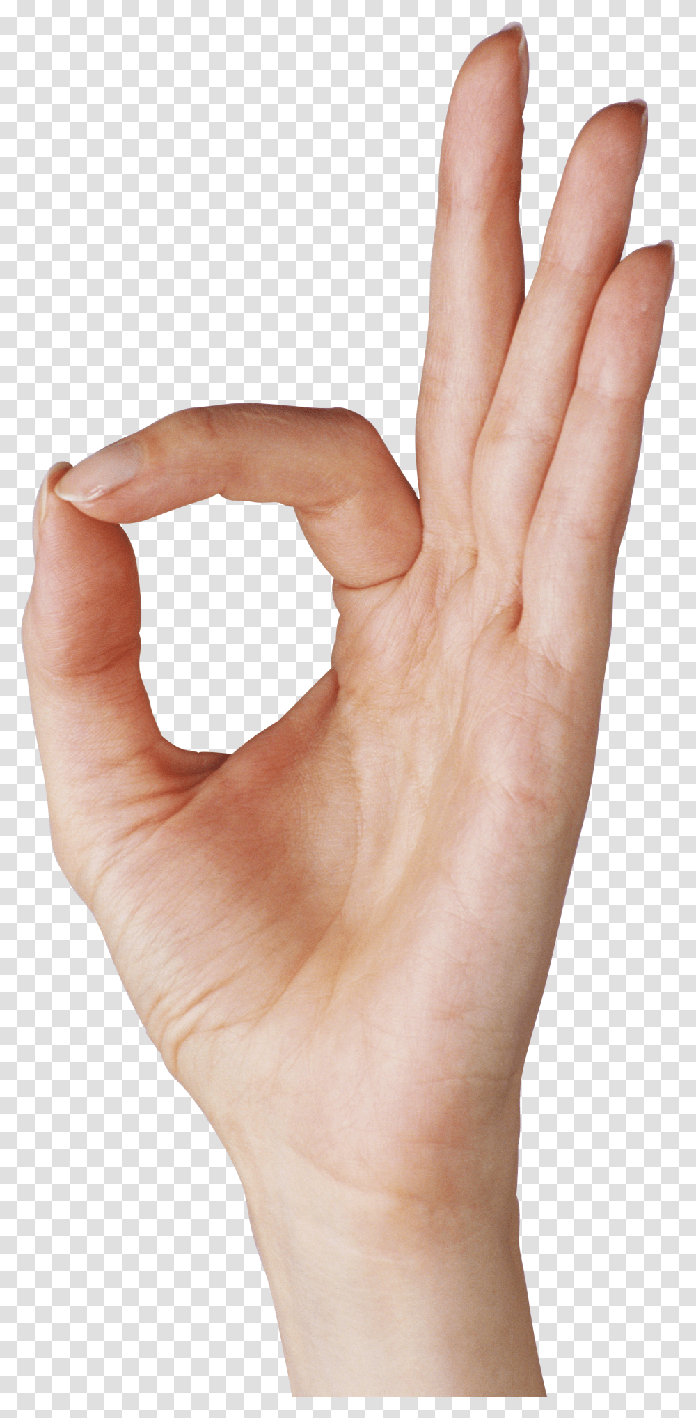 Hands, Person Transparent Png