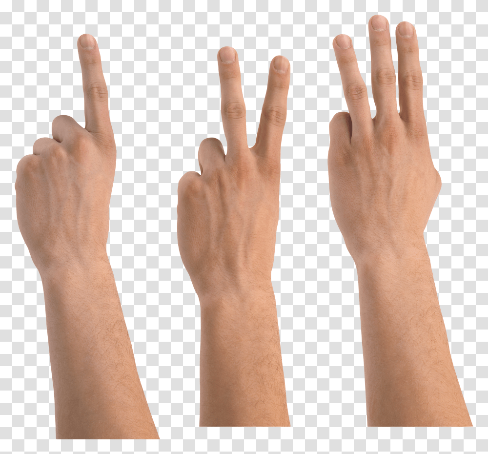 Hands, Person Transparent Png