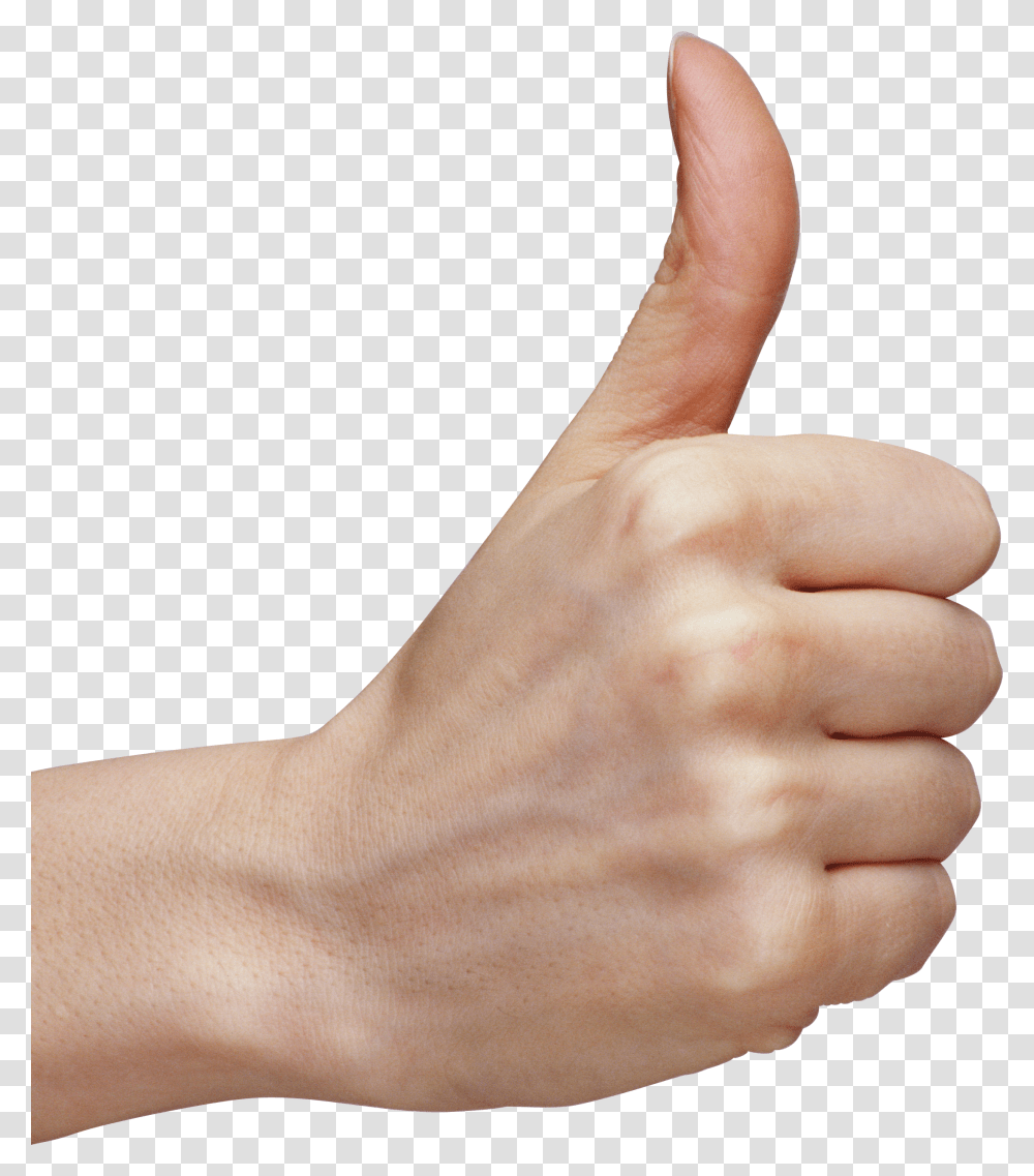 Hands, Person Transparent Png