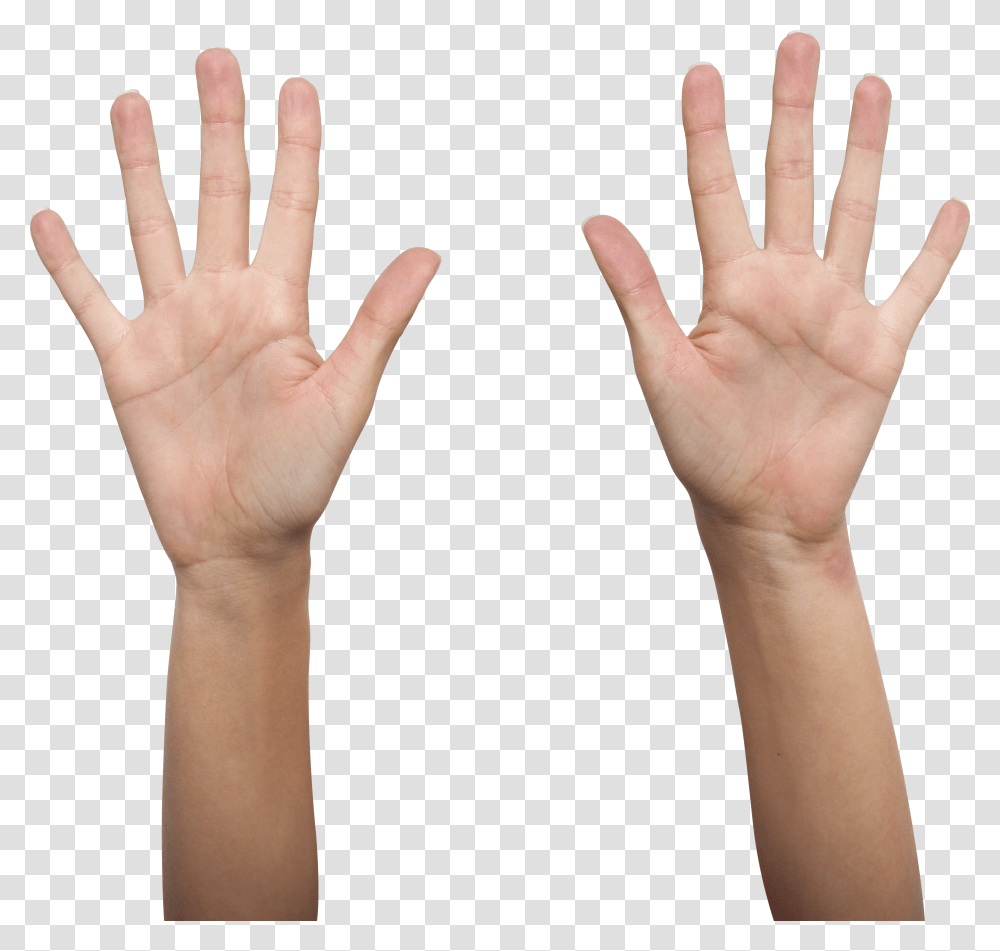 Hands, Person Transparent Png