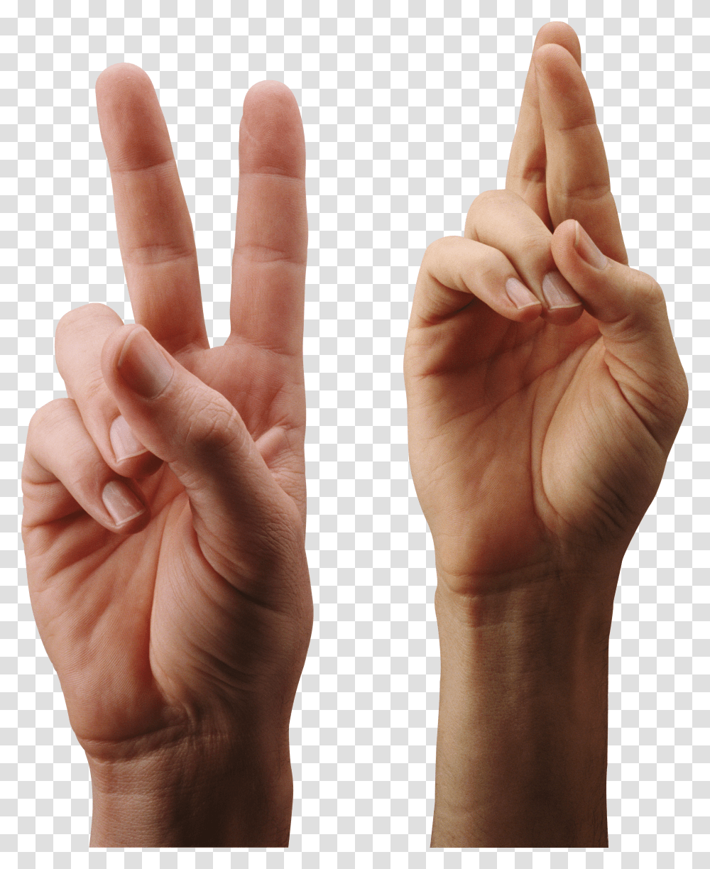 Hands, Person Transparent Png