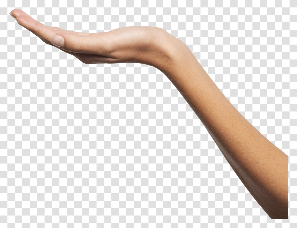 Hands, Person Transparent Png