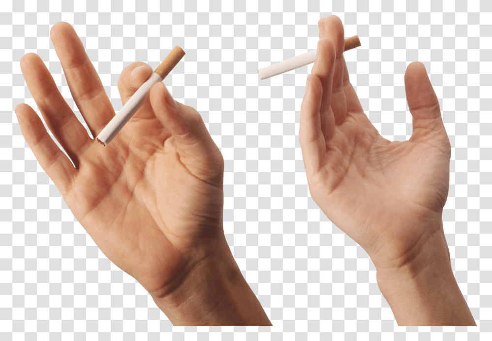 Hands, Person Transparent Png