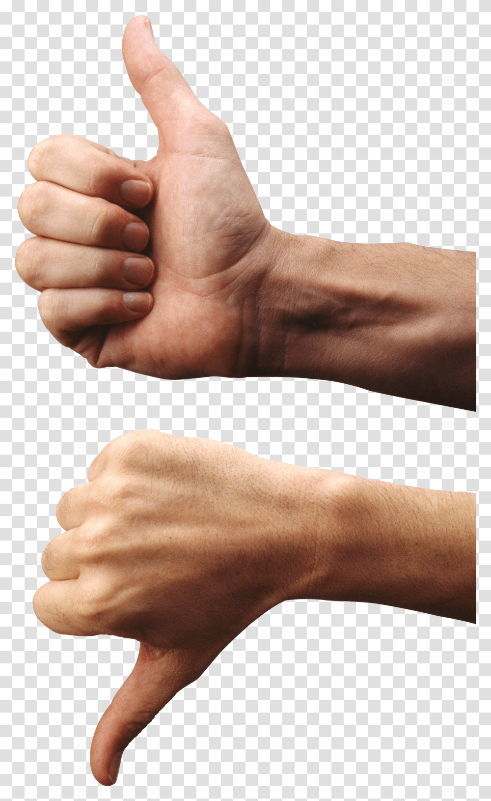 Hands, Person Transparent Png