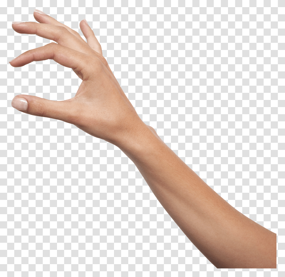 Hands, Person Transparent Png