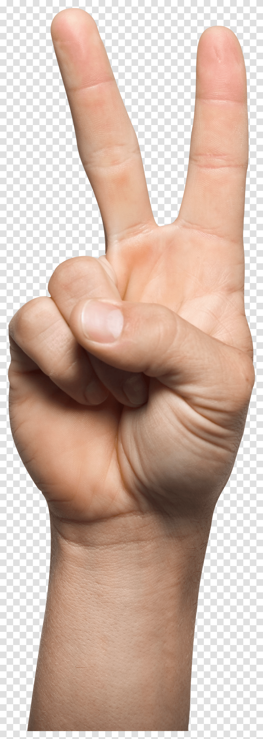 Hands, Person Transparent Png