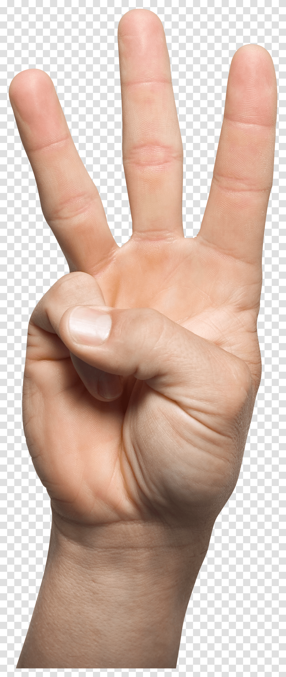 Hands, Person Transparent Png