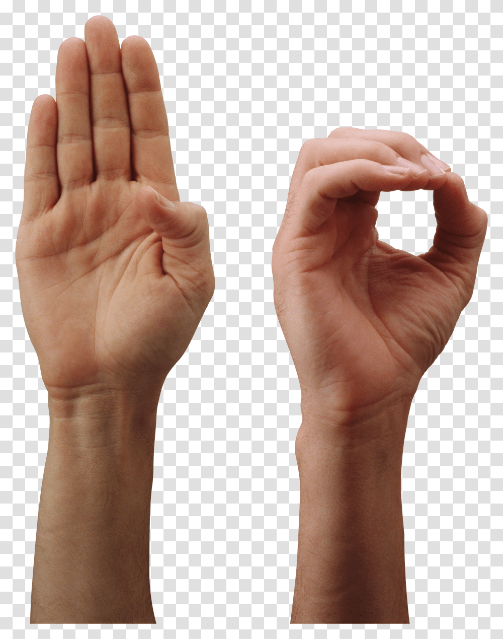 Hands, Person Transparent Png