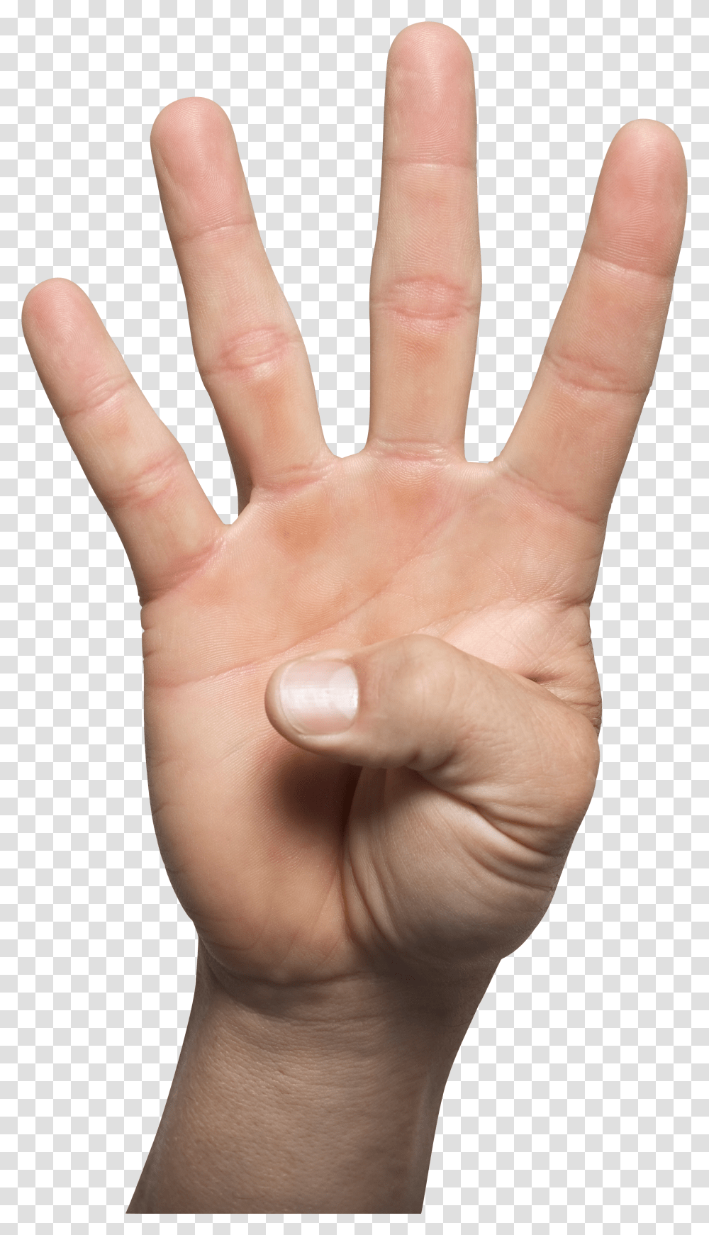 Hands, Person Transparent Png