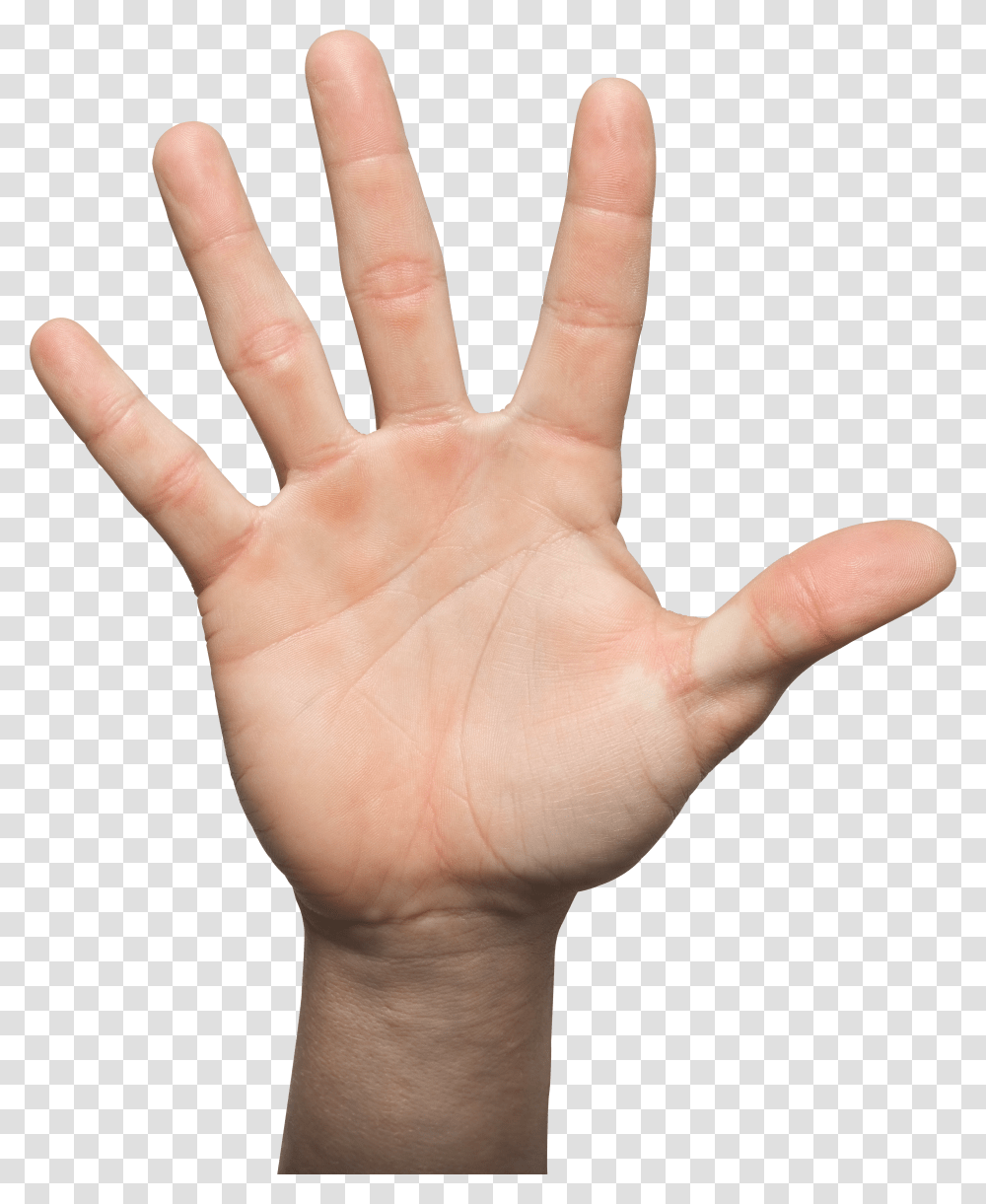 Hands, Person Transparent Png