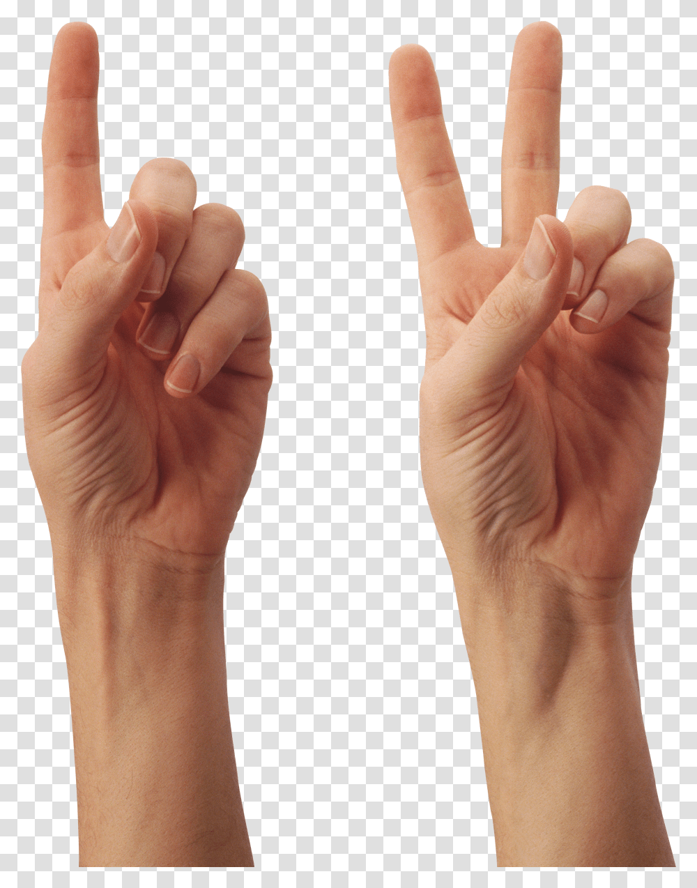 Hands, Person Transparent Png