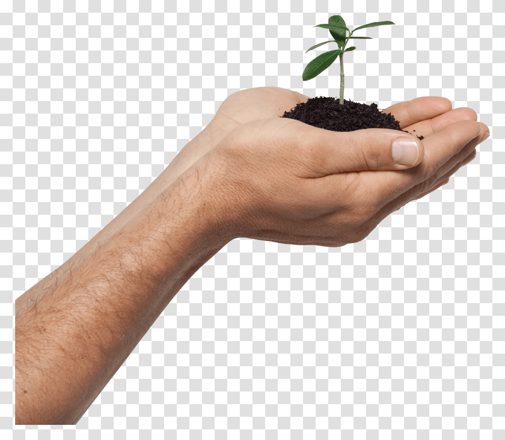 Hands, Person Transparent Png