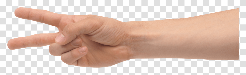 Hands, Person, Wrist, Human, Finger Transparent Png