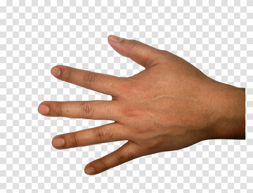 Hands, Person, Wrist, Human, Finger Transparent Png