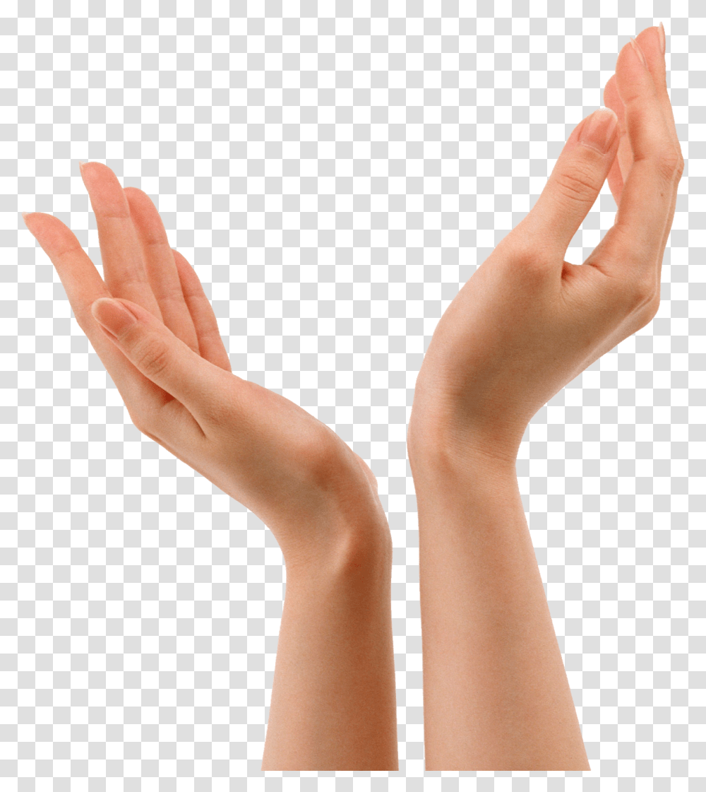 Hands, Person, Wrist, Human, Finger Transparent Png