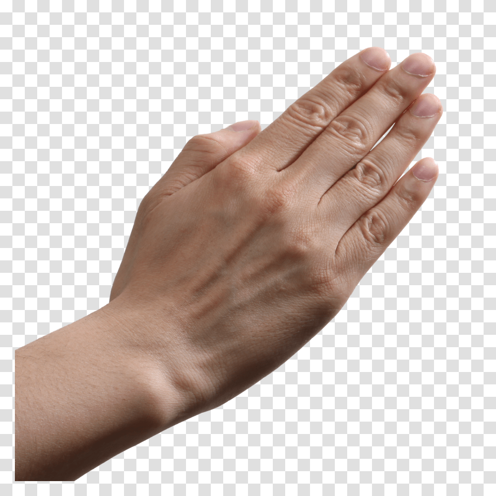 Hands, Person, Wrist, Human, Finger Transparent Png