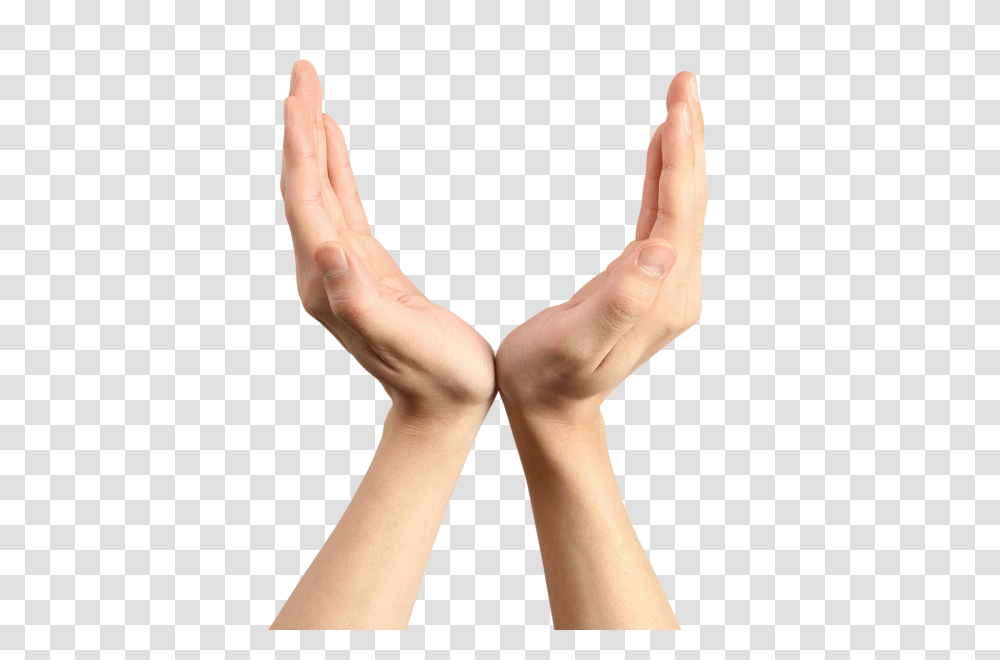 Hands, Person, Wrist, Human, Finger Transparent Png