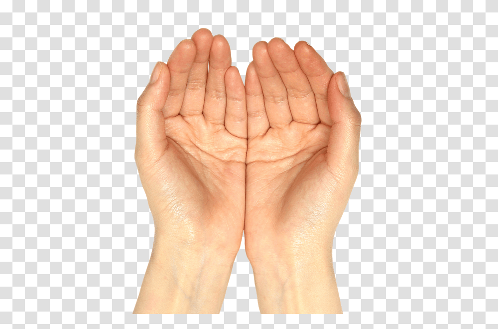 Hands, Person, Wrist, Human, Finger Transparent Png