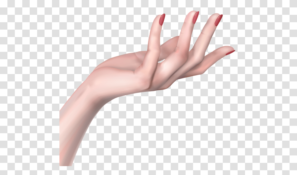 Hands, Person, Wrist, Human, Finger Transparent Png