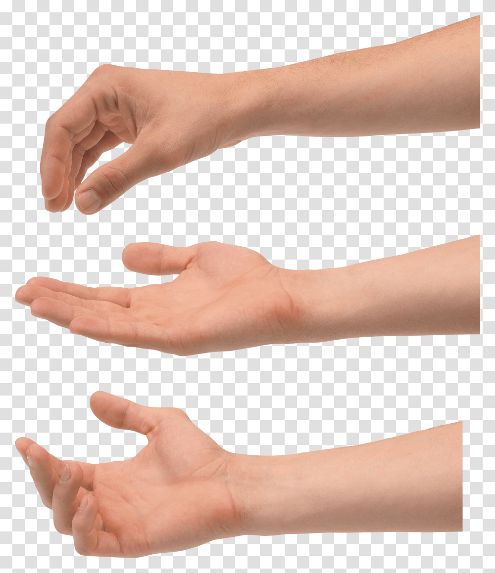 Hands, Person, Wrist, Human, Finger Transparent Png