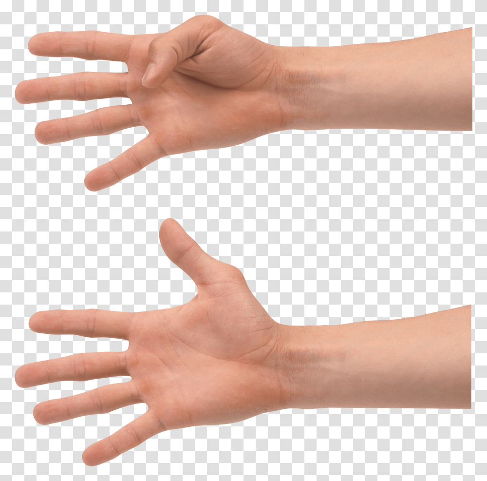 Hands, Person, Wrist, Human, Finger Transparent Png