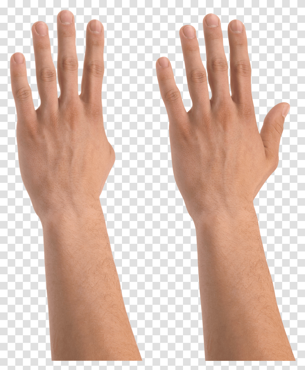 Hands, Person, Wrist, Human, Finger Transparent Png