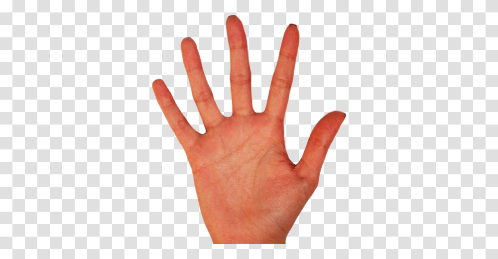 Hands, Person, Wrist, Human, Skin Transparent Png