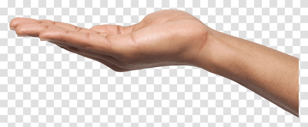 Hands, Person, Wrist, Human, Skin Transparent Png