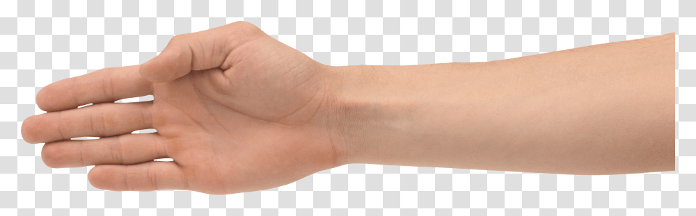 Hands, Person, Wrist, Human Transparent Png