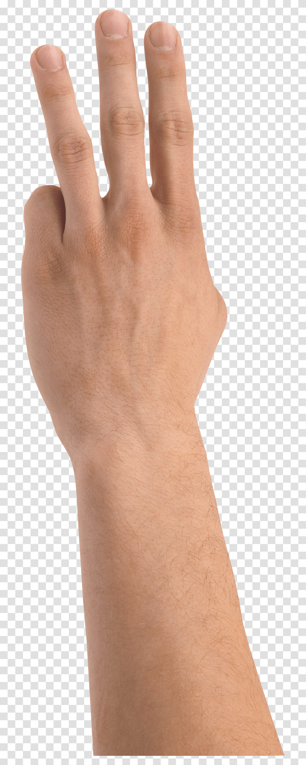 Hands, Person, Wrist, Human Transparent Png