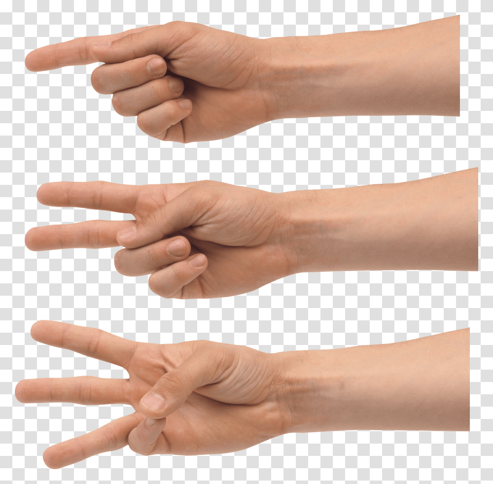 Hands, Person, Wrist, Human Transparent Png