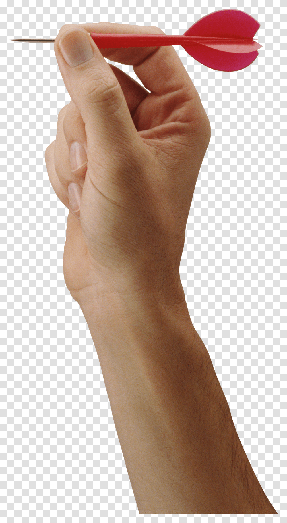 Hands, Person, Wrist, Toe, Human Transparent Png