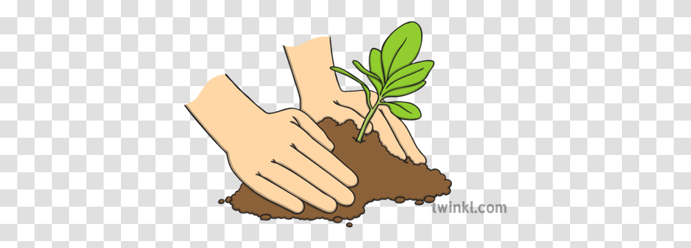 Hands Planting A Tree Illustration Twinkl Hands Planting Tree Art, Holding Hands, Washing Transparent Png