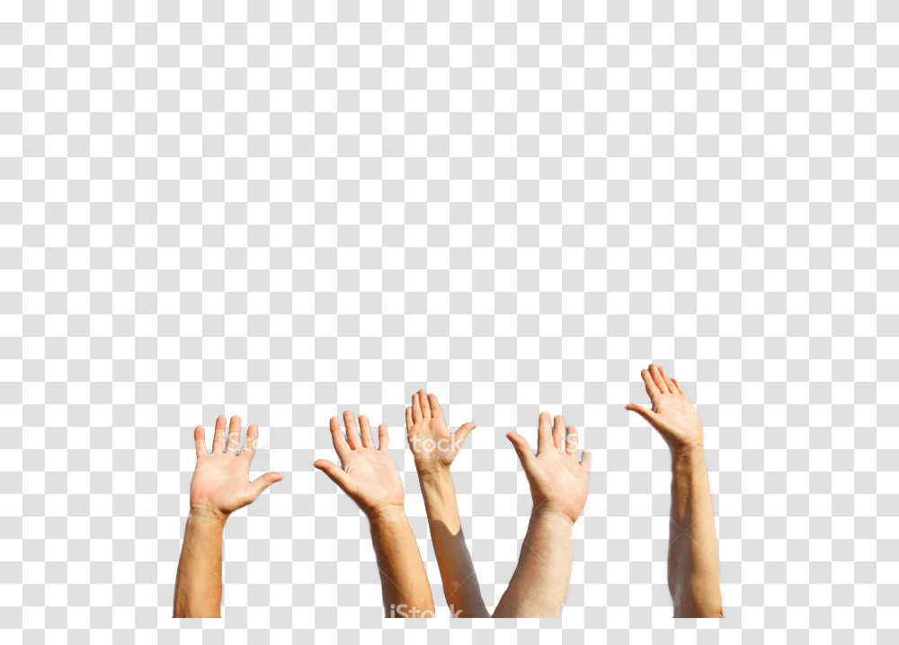 Hands Stock Photo, Finger, Person, Human Transparent Png