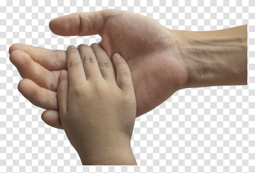 Handsadult And In Pictures Free Photos Free Images Promise To Children, Wrist, Person, Human, Finger Transparent Png