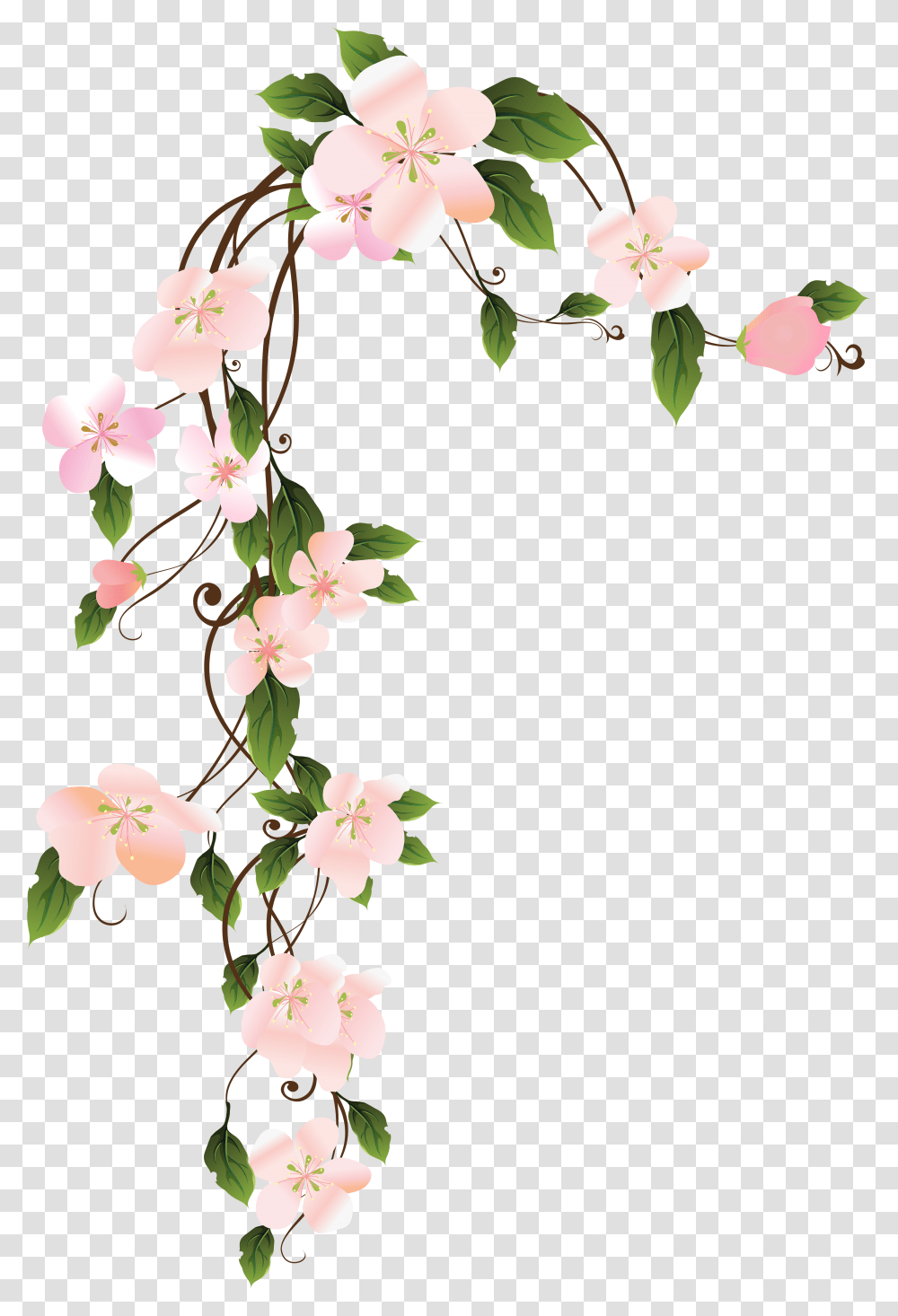 Hang In There Clipart, Plant, Flower, Blossom, Cherry Blossom Transparent Png