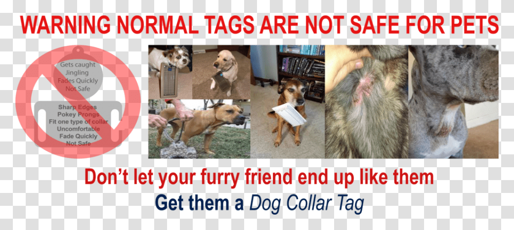 Hang Tag Dog Licks, Pet, Canine, Animal, Mammal Transparent Png