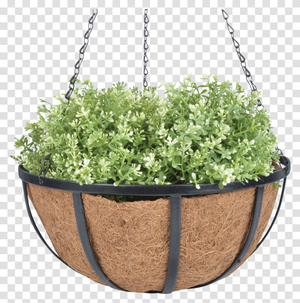 Hanging Basket 30cm Black S Kkusz Virgcserp, Potted Plant, Vase, Jar, Pottery Transparent Png