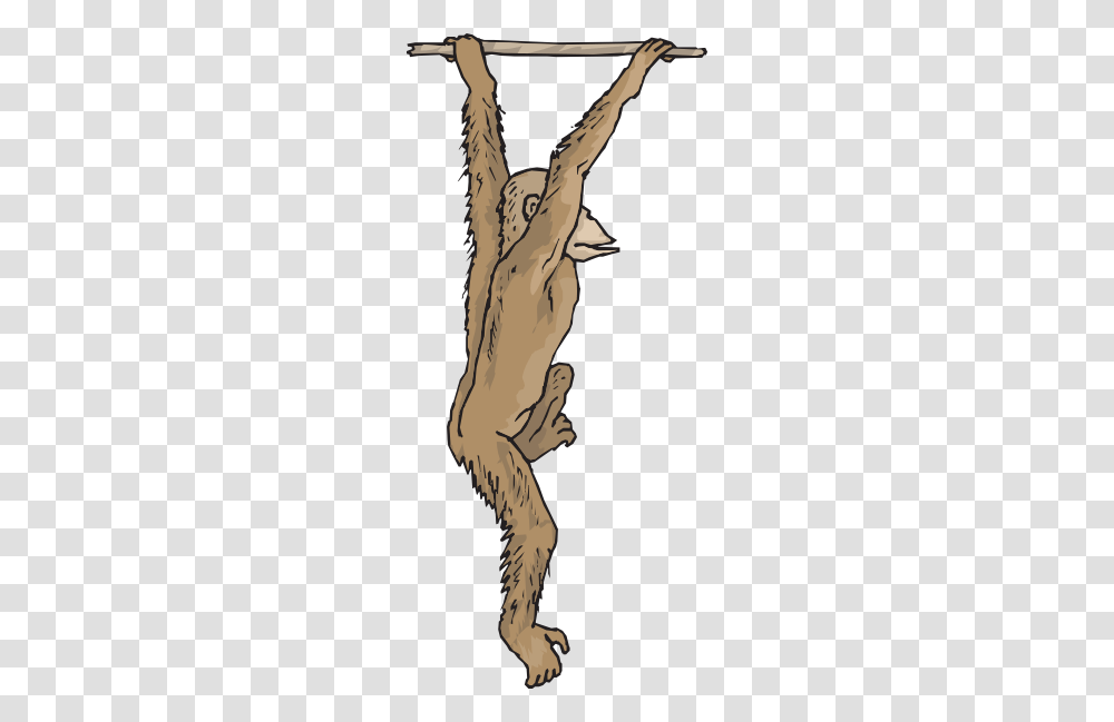 Hanging Chimp Clip Art, Mammal, Animal, Pet, Dog Transparent Png