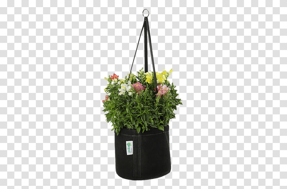 Hanging Fabric Pots, Plant, Flower, Blossom, Flower Arrangement Transparent Png